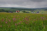 OsadaJizerka