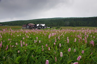 OsadaJizerka