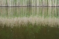 Zrcadlen