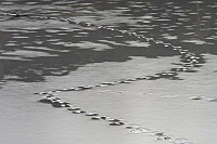 Stopa&nbsp;na&nbsp;led�