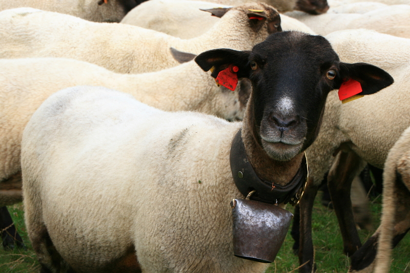 klikn�te pro n�vrat