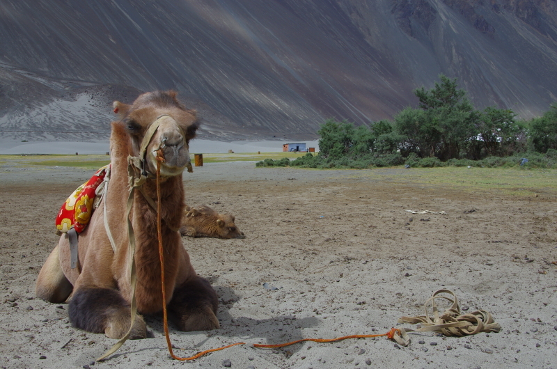 klikn�te pro n�vrat