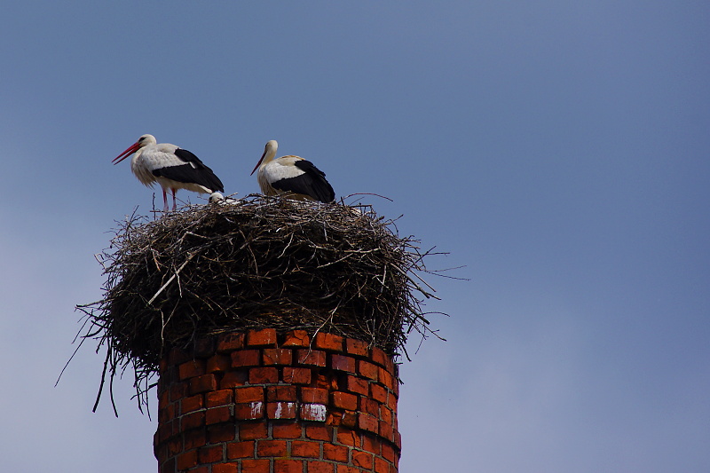 klikn�te pro n�vrat