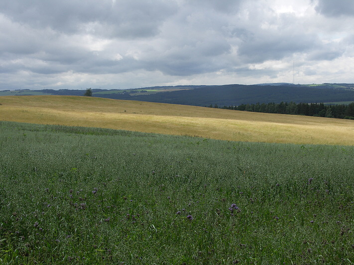 MANĚTÍNSKO - Liběna Stiebitzová