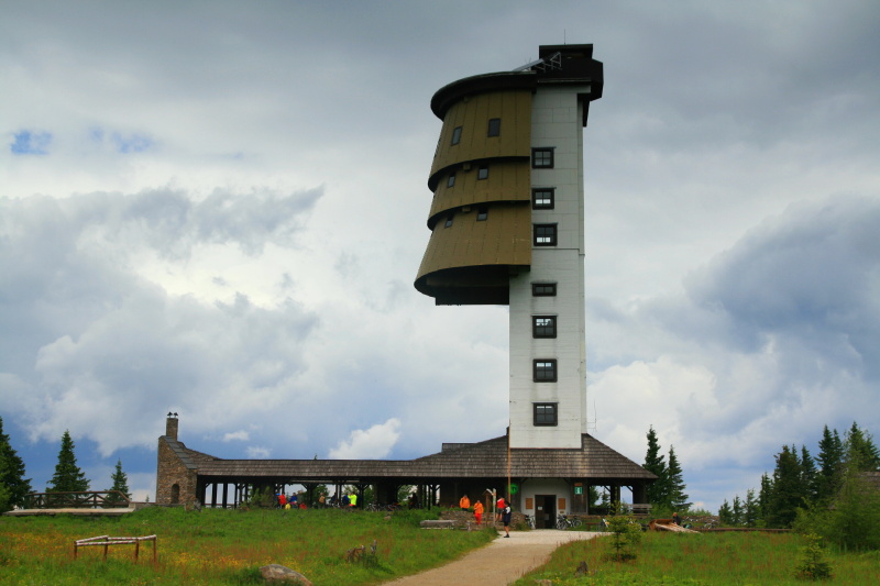 CESTA NA VRCHOL - Liběna Stiebitzová