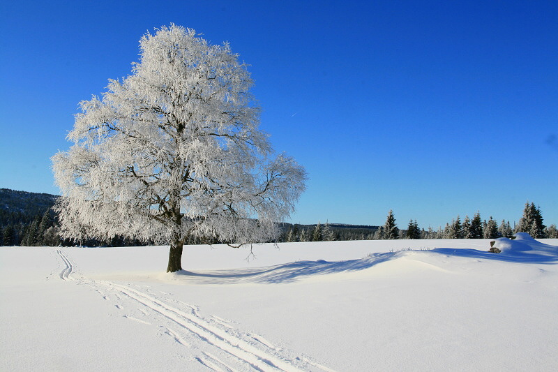 SOLITÉR - Liběna Stiebitzová