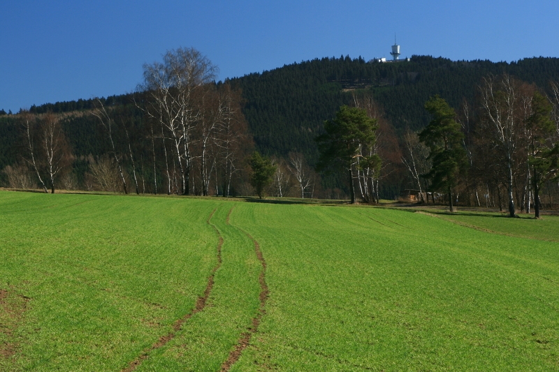 DYLEŇ - Liběna Stiebitzová