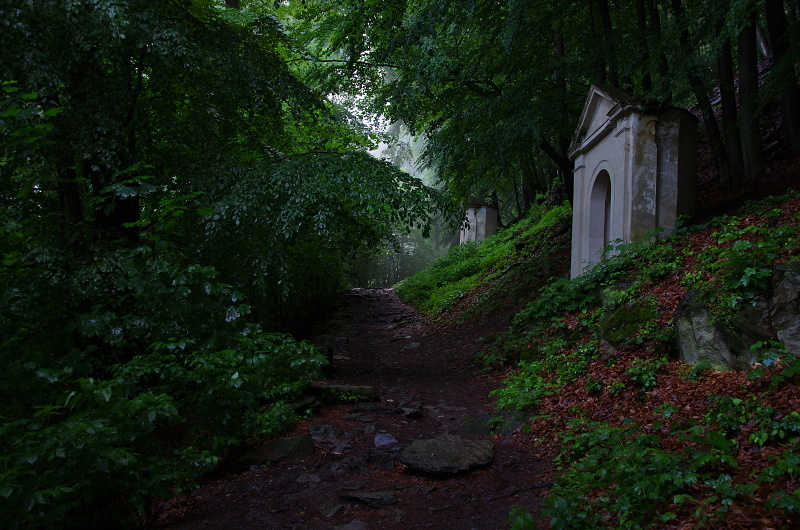 KAPLIČKY - Liběna Stiebitzová